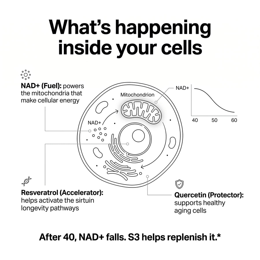 Cellular science infographic, what S3 does inside your cells (text in image).