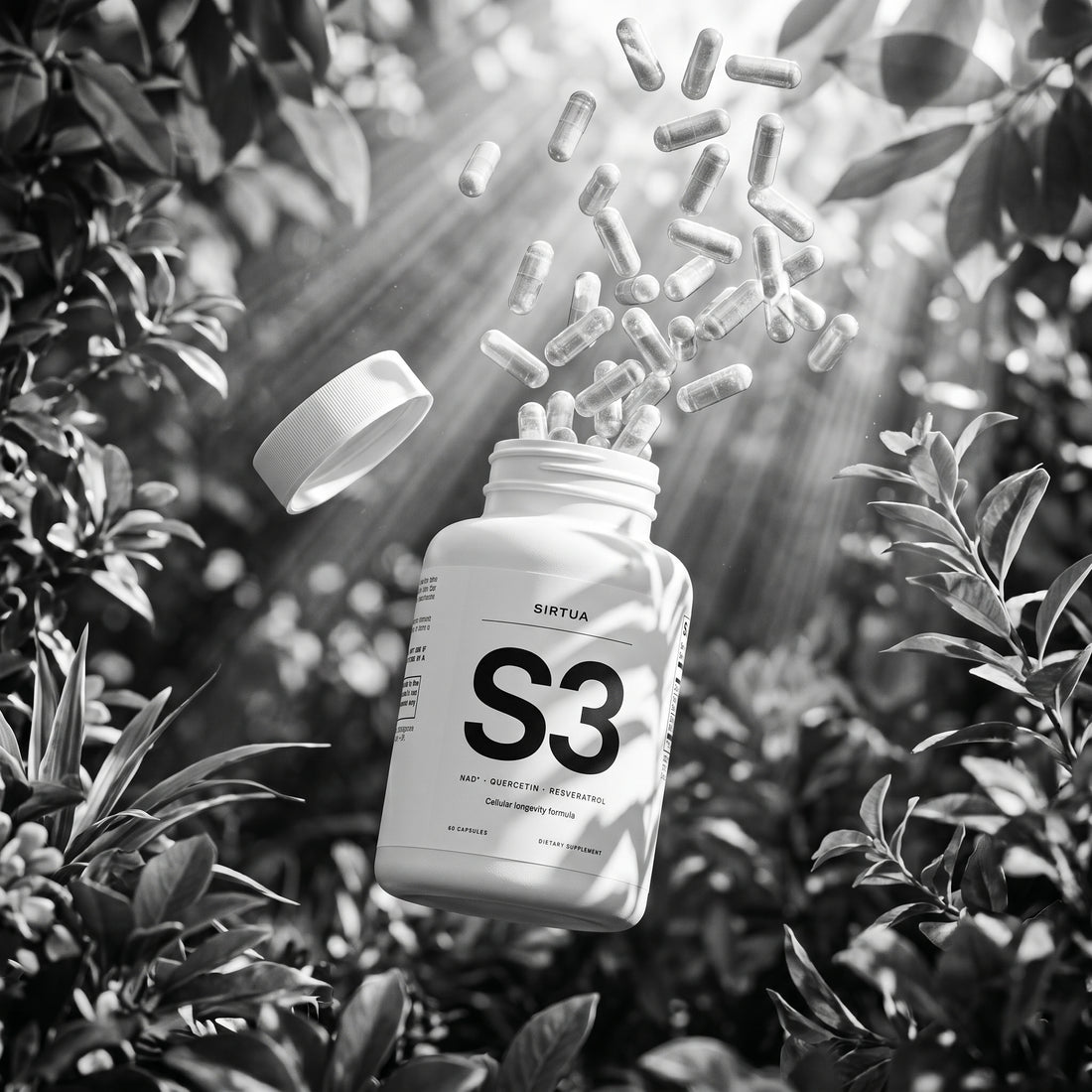 Sirtua S3