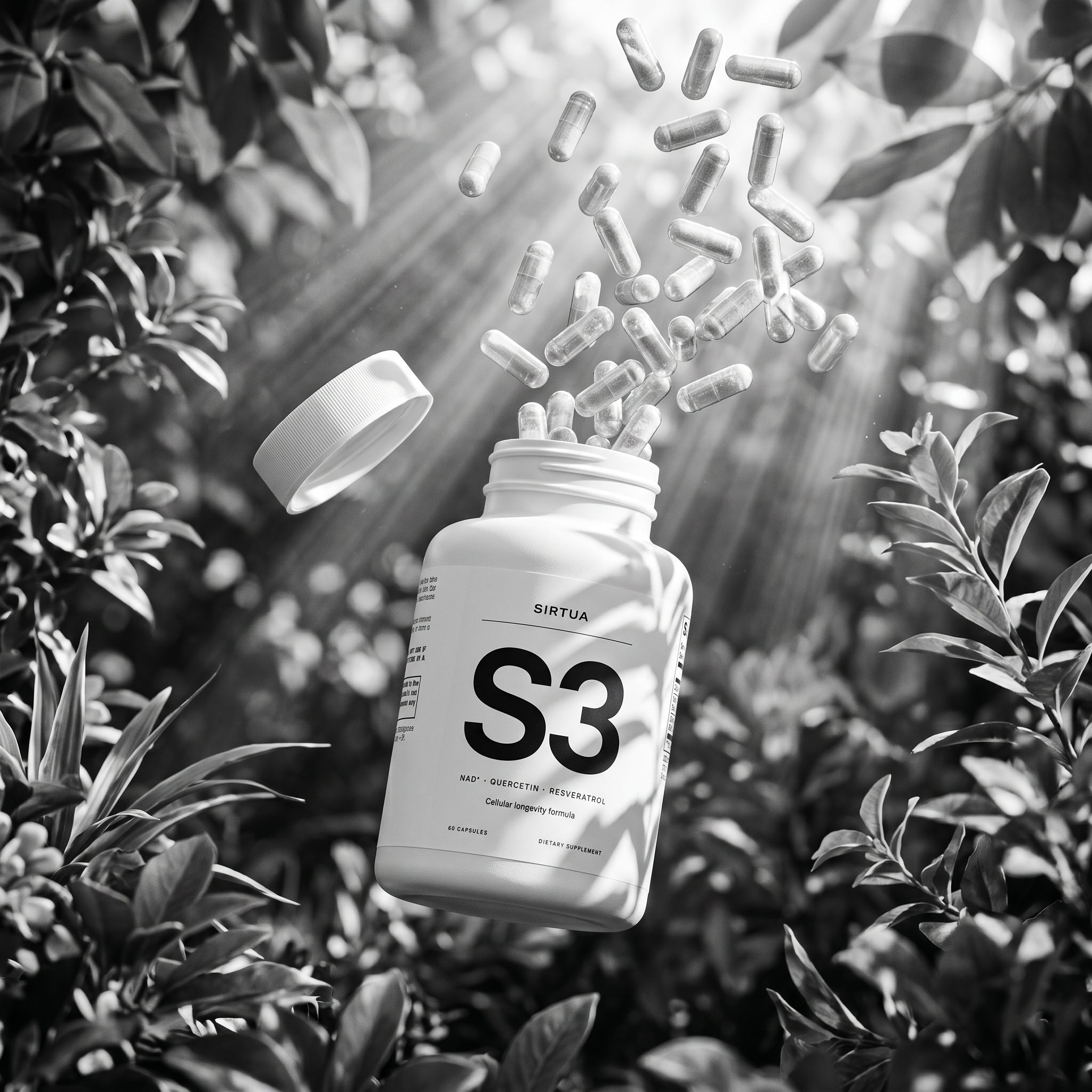 Sirtua S3