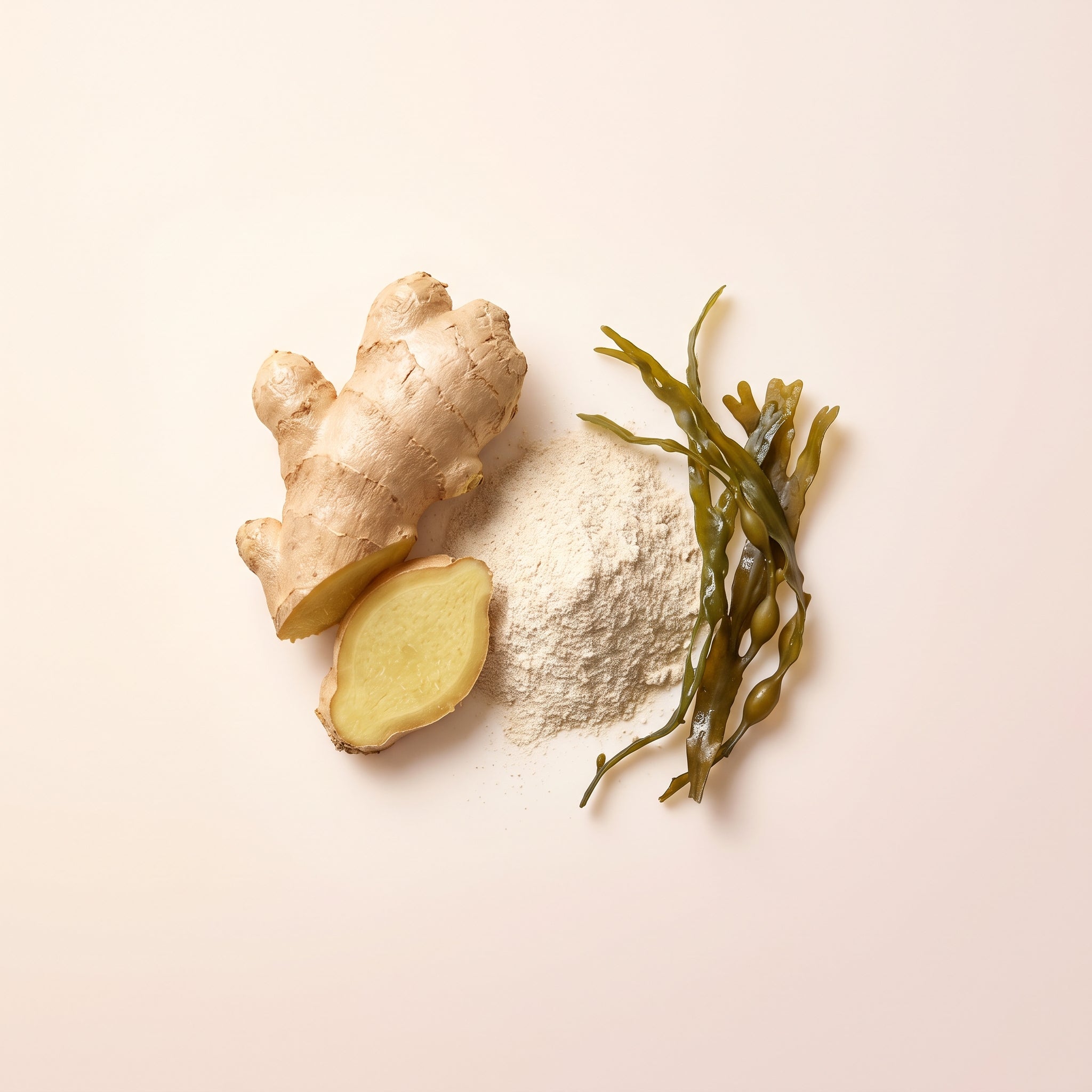 Gut & Digestion